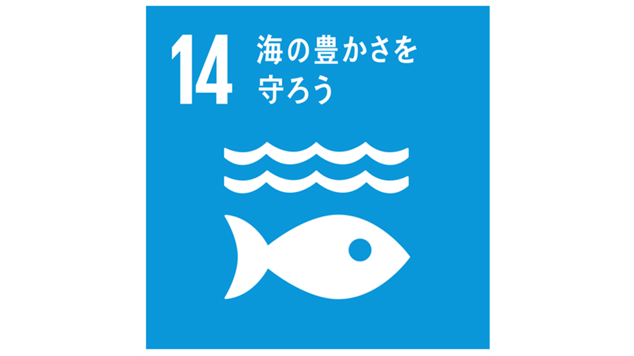 SDGsの目標「14.海の豊かさを守ろう」