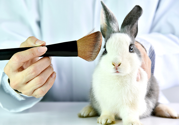 動物実験をしていない化粧品メーカー紹介