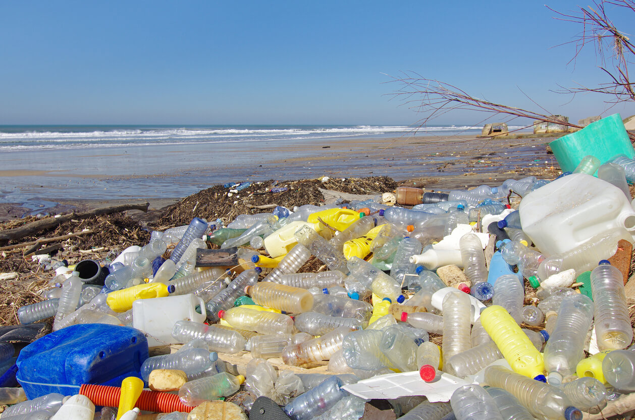 プラスチックごみが与える影響について