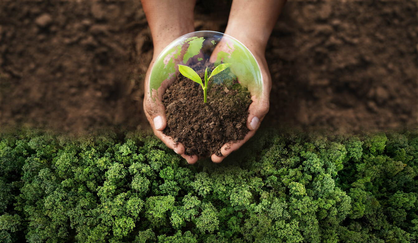 法人・個人向けのおしゃれなエコグッズ17選｜日常にSDGsを取り入れようのまとめ