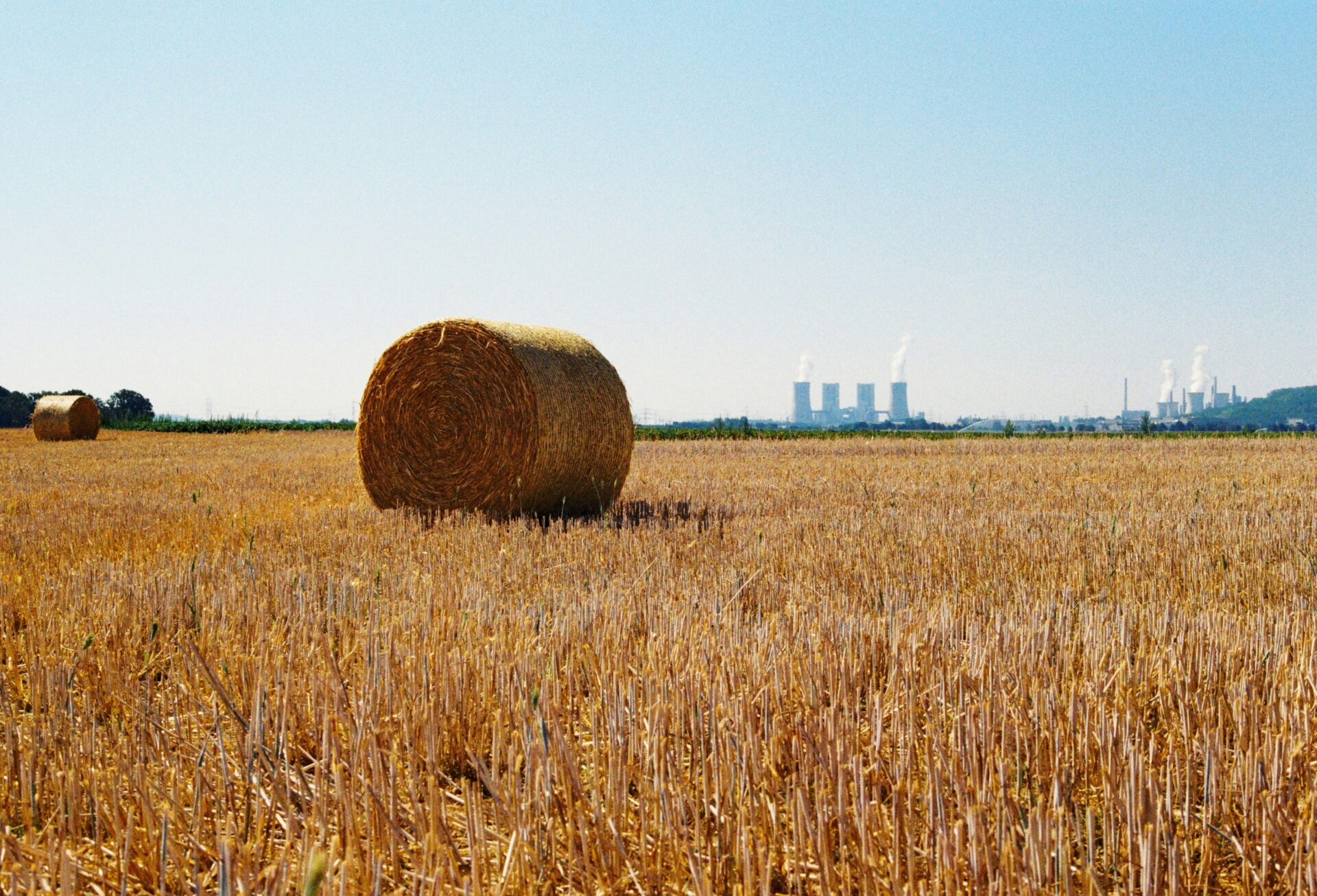 バイオマス発電とは？メリット・デメリットや仕組みを分かりやすく紹介
