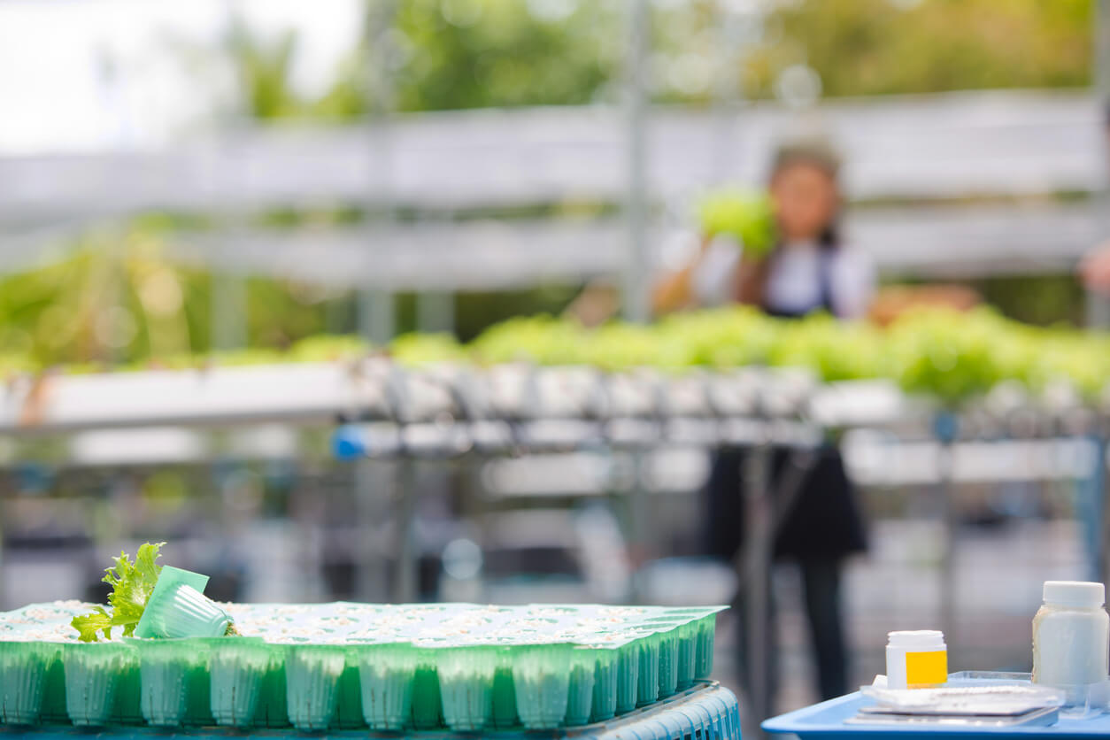 具体的な応用分野