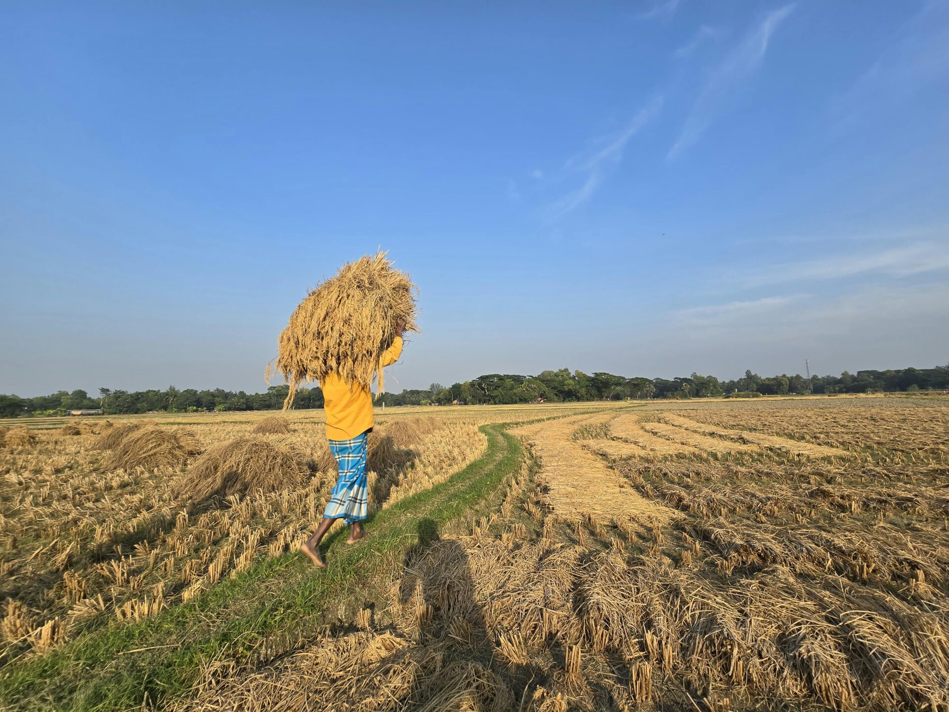 企業がエシカル消費に取り組む3つのメリット