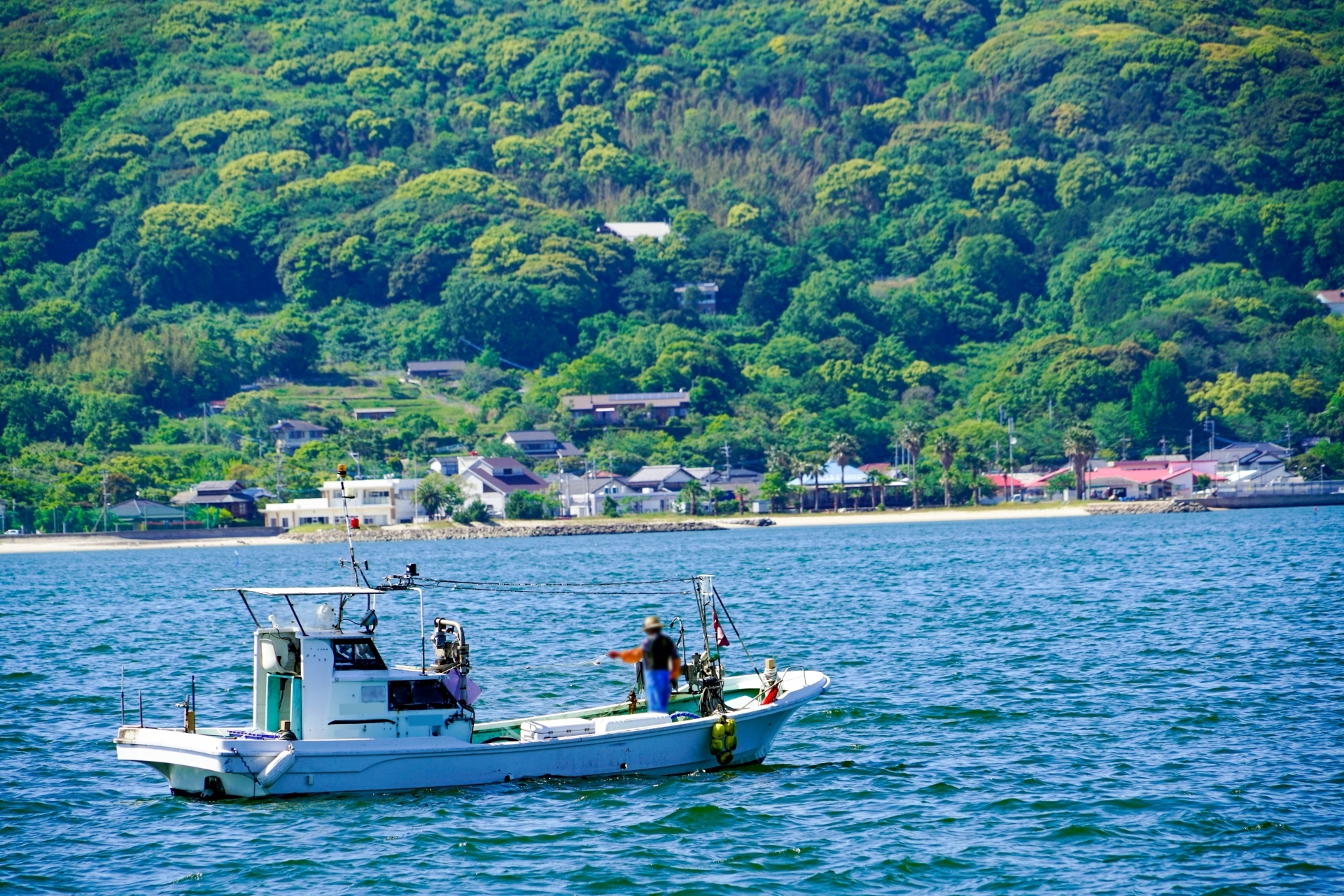 持続可能な漁業が海の未来を守る！今日からすぐにできる行動とは